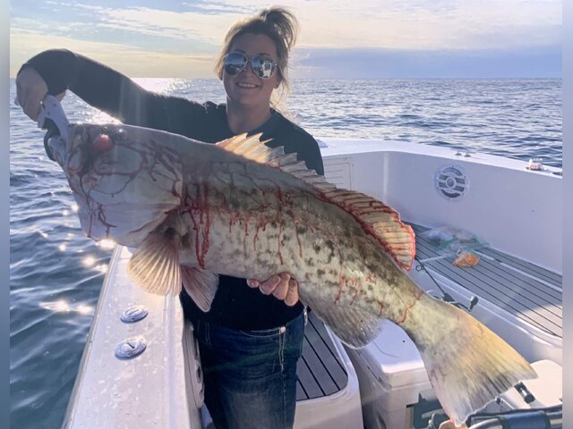 Listing image 1020729