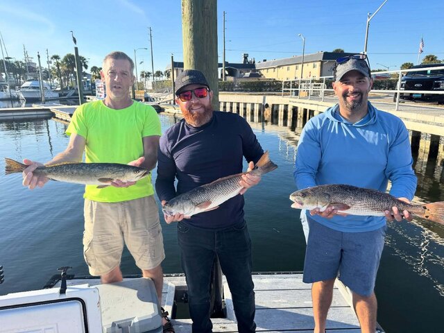 Listing image 1285589