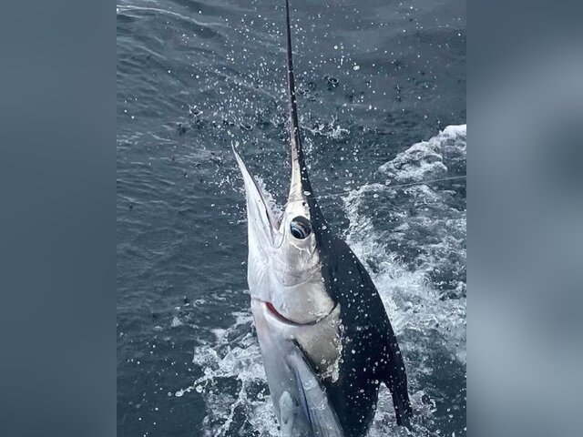 Listing image 1021475