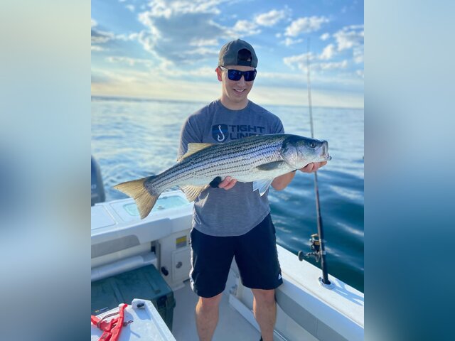 Listing image 1163378