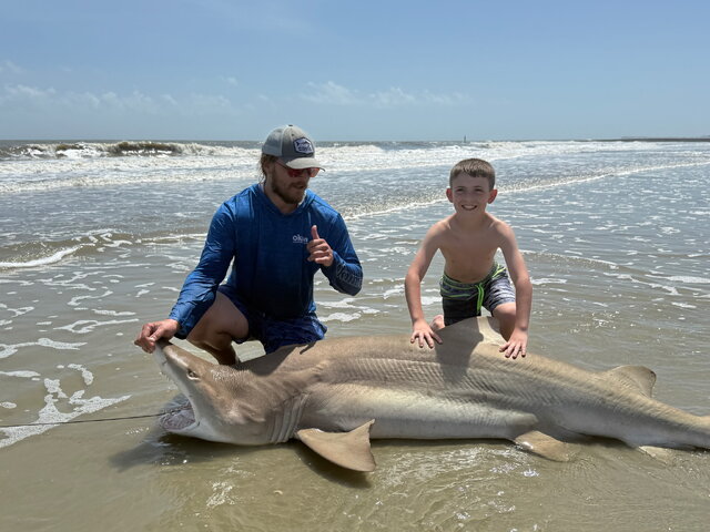 Listing image 1171015