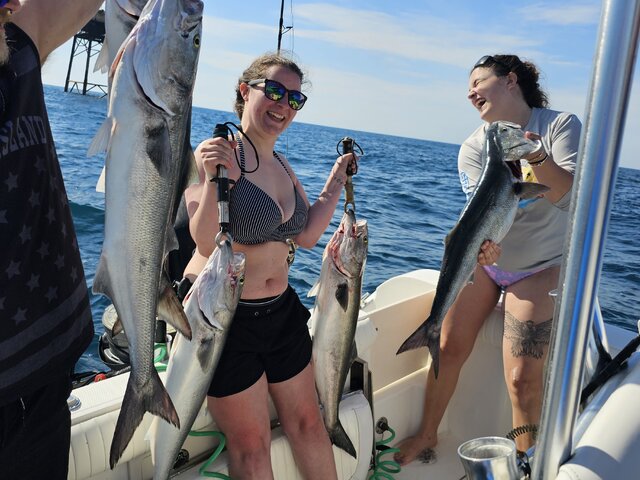 Listing image 1022294