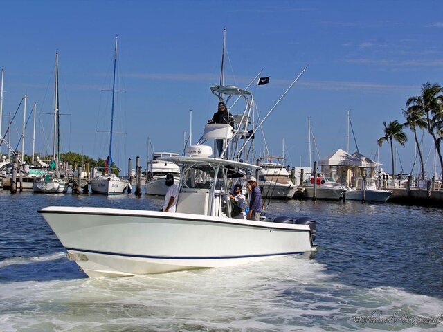 Listing image 1022719