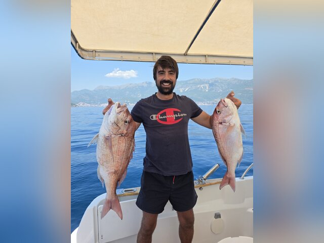 Listing image 1228690