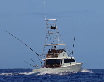 Charter Image