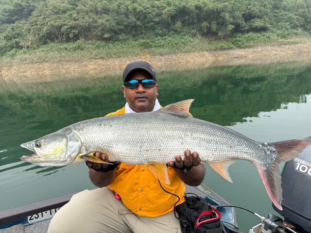 Listing image 1241218