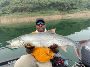 TayCau Fishing – Exotic Yellowcheek/Kanyu