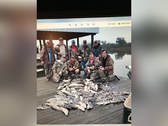 Listing image 465019