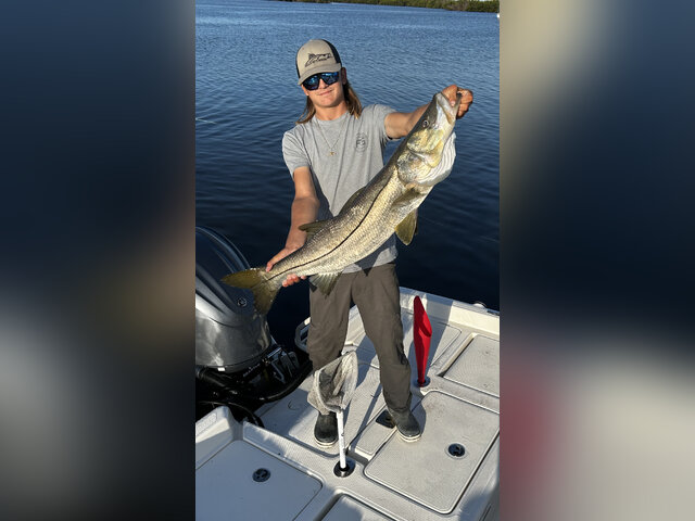 Listing image 1024126