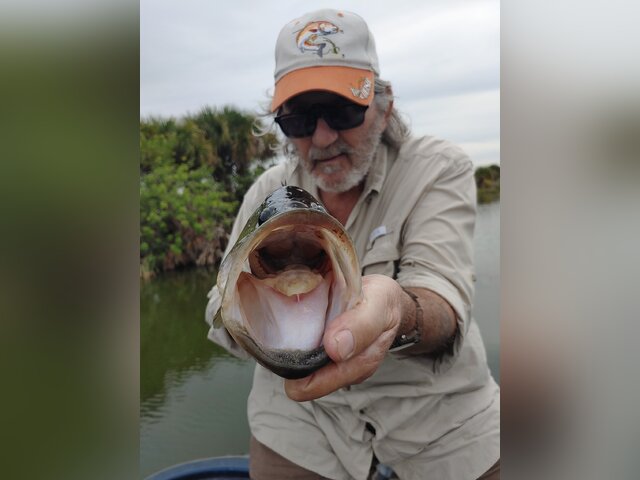 Listing image 1121007