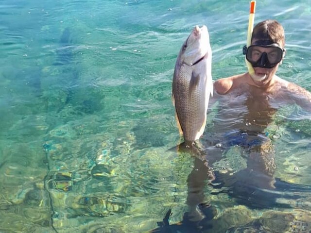 Listing image 1055741