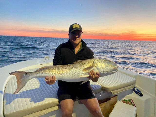 Listing image 1031498