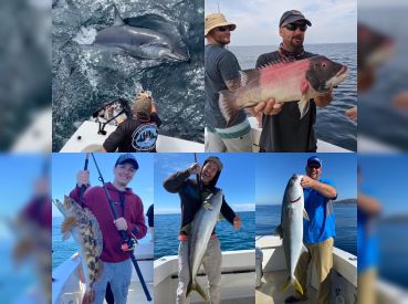Fishing Charters Of San Diego DOUBLE DOWN thumbnail