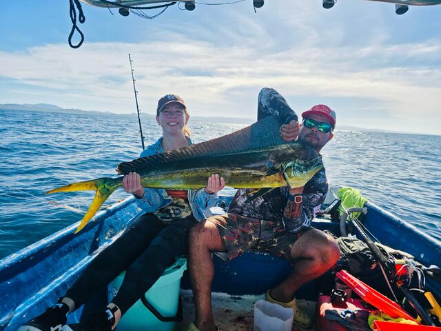 Listing image 1268054