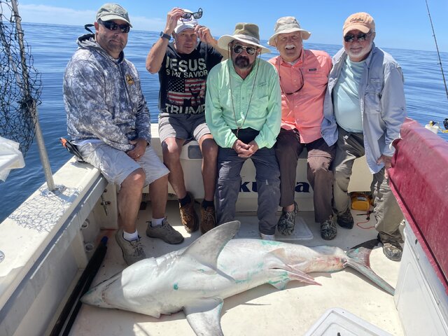 Listing image 1128719