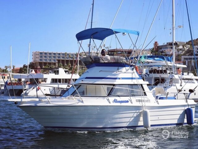 Listing image 1032202