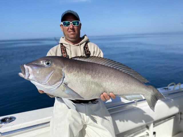 Listing image 1027968