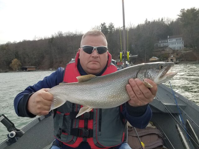 Listing image 1033519