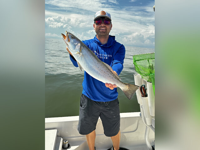 Listing image 1231845