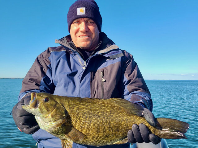 Listing image 1036772