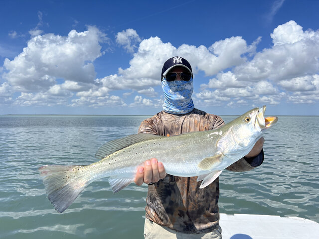 Listing image 1032510