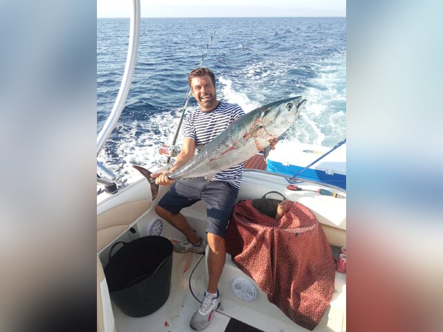 Listing image 1032642