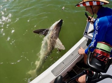 Edgewater Charters thumbnail