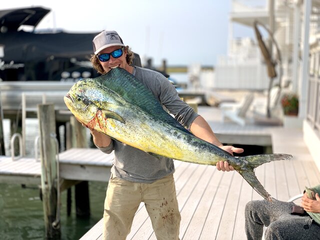 Listing image 1032949