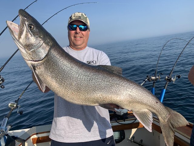 Listing image 1034029