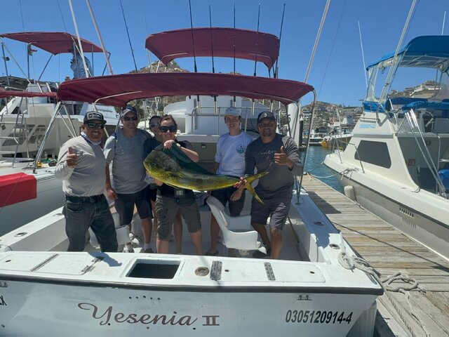 Listing image 1034955