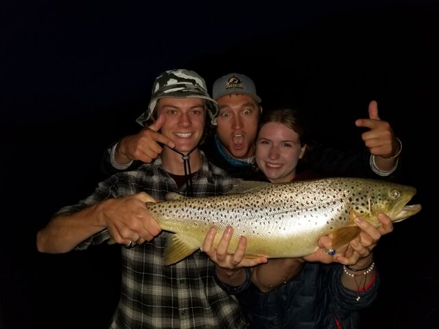 Listing image 1036334