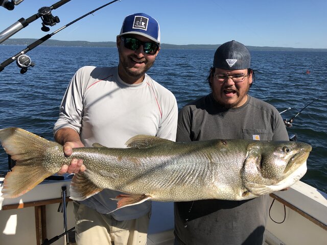 Listing image 1036713