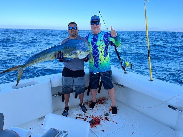 Listing image 1036809