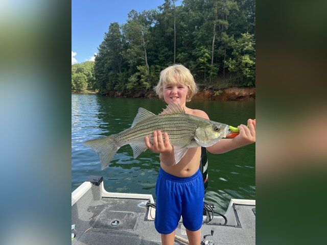 Listing image 1169690