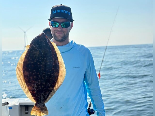 Listing image 1037358