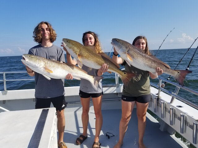 Listing image 1039037