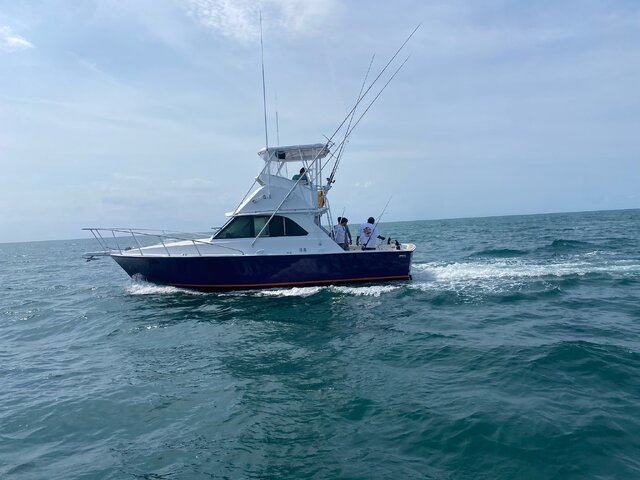 Listing image 1043130