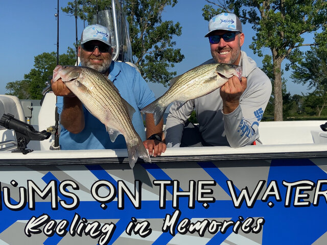 Listing image 1039800