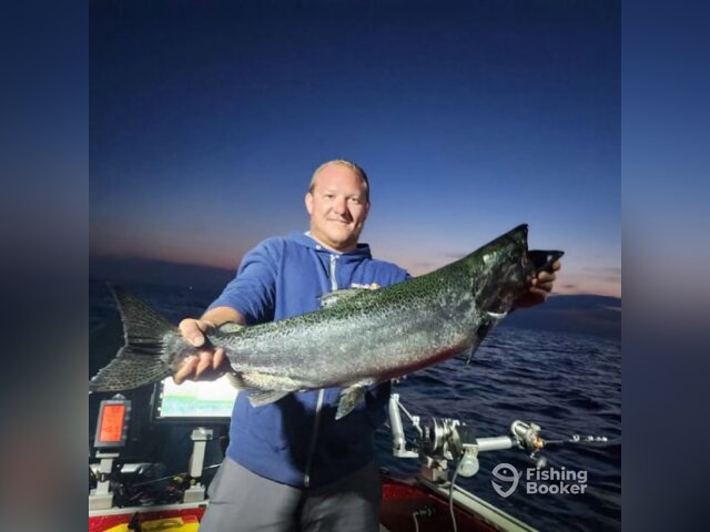 Listing image 1045542