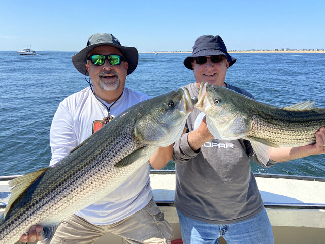 Listing image 1040338