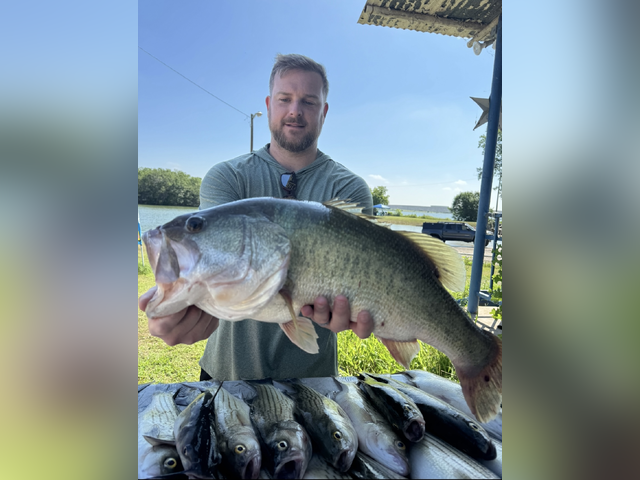 Listing image 1040553