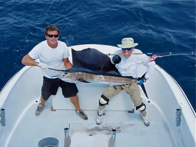 Listing image 1040623