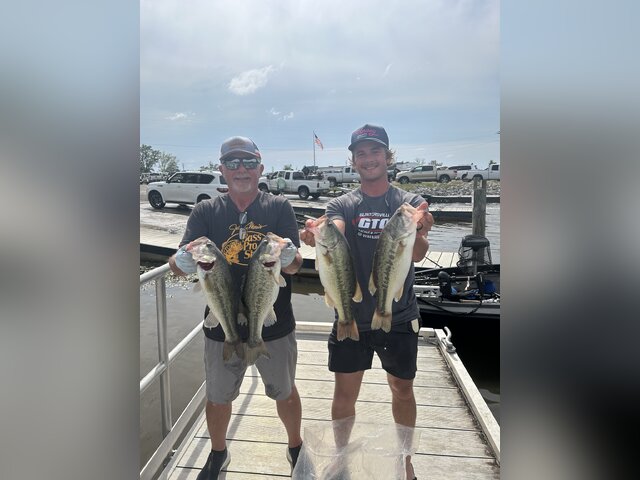 Listing image 1041052