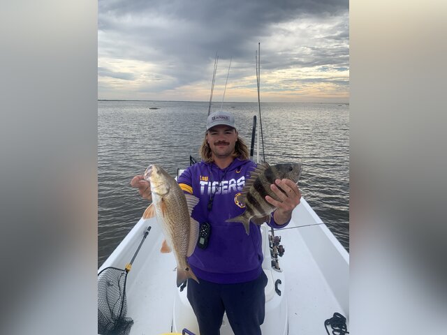 Listing image 1041437