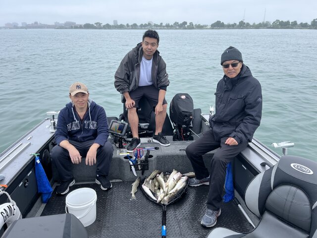 Listing image 1041772