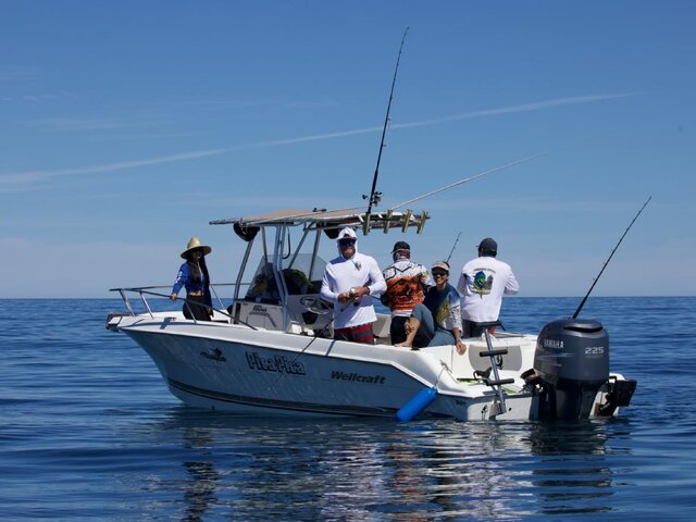 Listing image 1041905