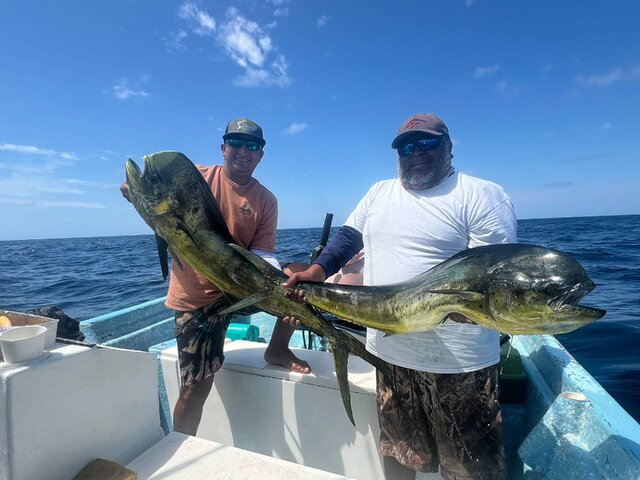 Listing image 1046788