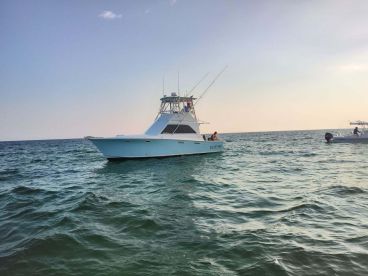 Charter Image