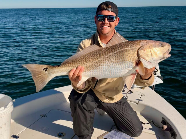 Listing image 1081885