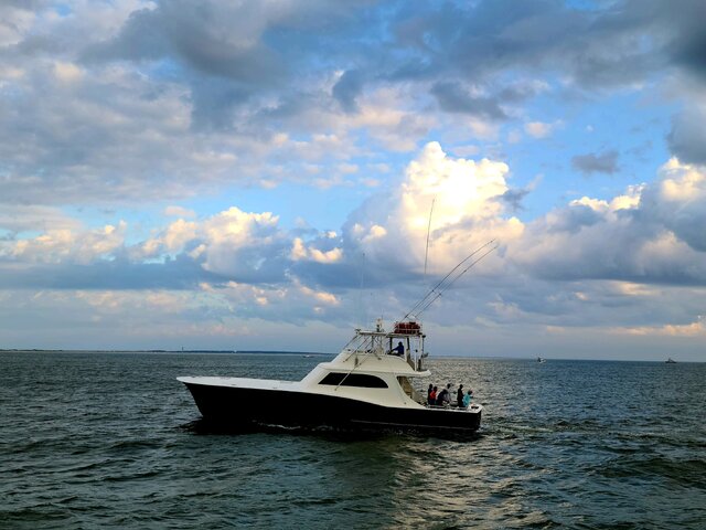 Listing image 1043855